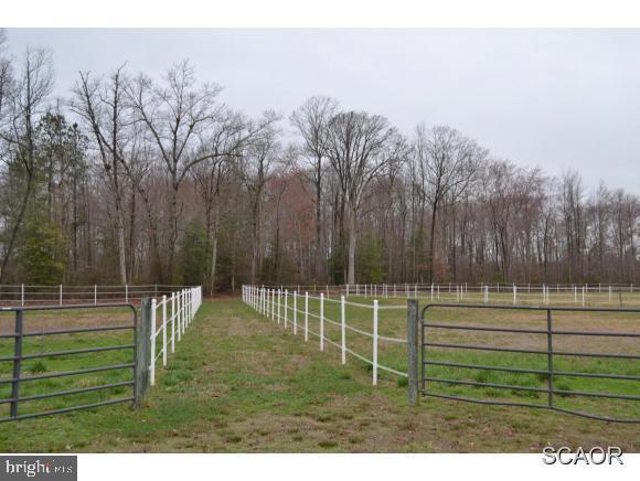 20337 West Piney Grove Road, Unit 1 Georgetown, DE 19947 - Photo 12 of 24 Gallery Image 12