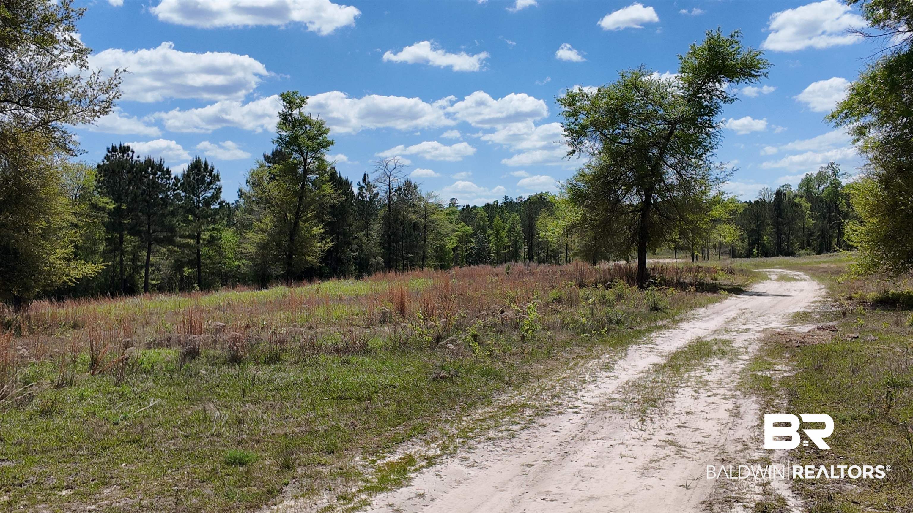 0 Powell Road Eight Mile, AL 36613 - Photo 27 of 57