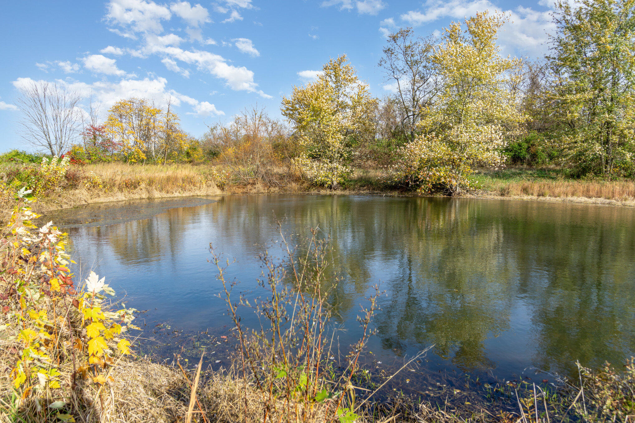 4074 Ironworks Road Winchester, KY 40391 - Photo 26 of 33 026_4074_ironworks_road_33-edit_347