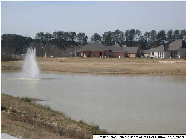 Lot 5 Wax Road Denham Springs, LA 70726 - Photo 4 of 12 Gallery Image 4