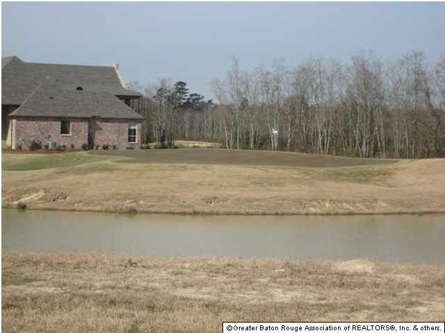 Lot 5 Wax Road Denham Springs, LA 70726 - Photo 5 of 12 Gallery Image 5