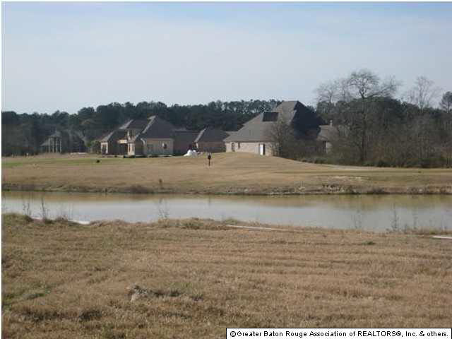 Lot 5 Wax Road Denham Springs, LA 70726 - Photo 7 of 12 Gallery Image 7