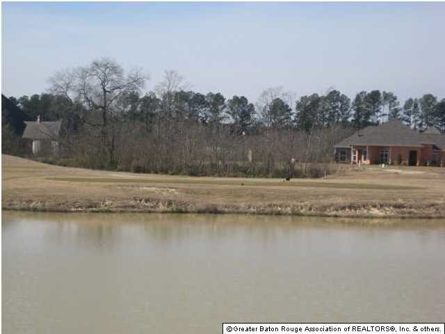 Lot 5 Wax Road Denham Springs, LA 70726 - Photo 9 of 12 Gallery Image 9
