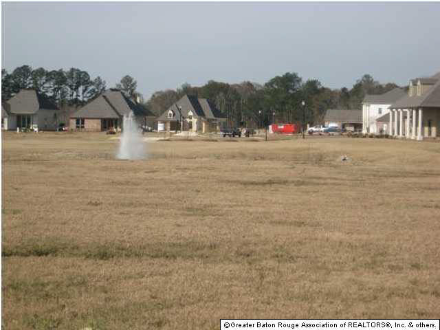 Lot 5 Wax Road Denham Springs, LA 70726 - Photo 10 of 12 Gallery Image 10