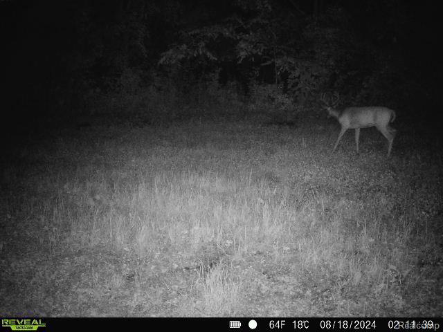 V/l Blake Road Jackson, MI 49202 - Photo 81 of 97 Gallery Image 81
