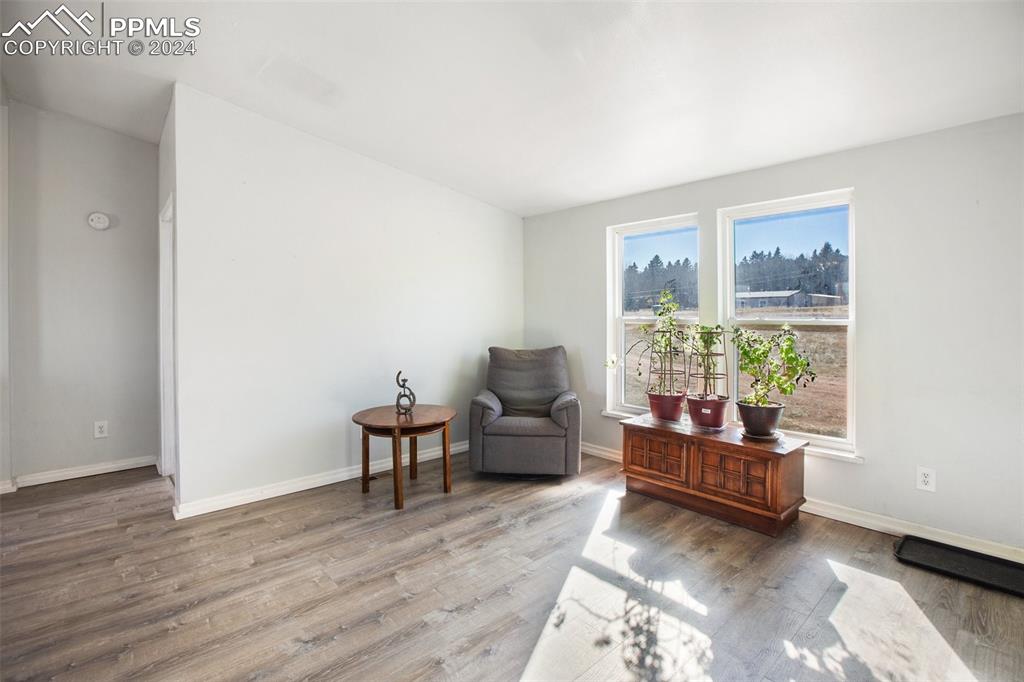 69 Aspen Drive Divide, CO 80814 - Photo 20 of 50 a living room with furniture and a window