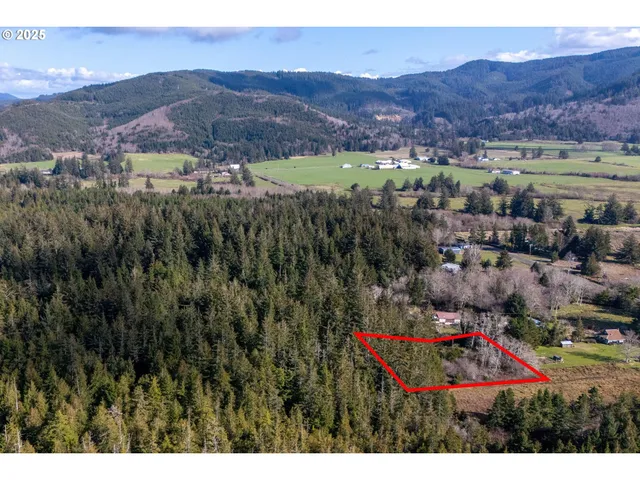 a view of city and mountain