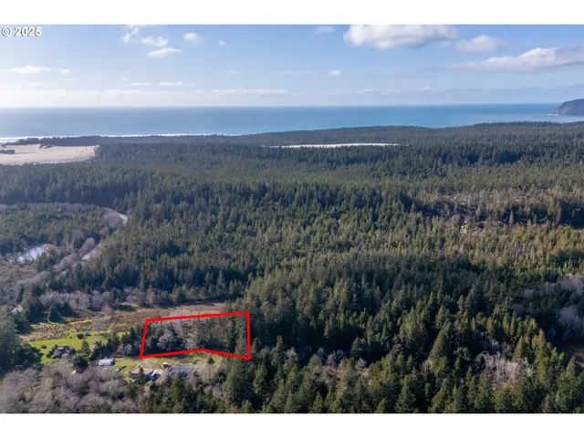 a view of a city with lush green forest