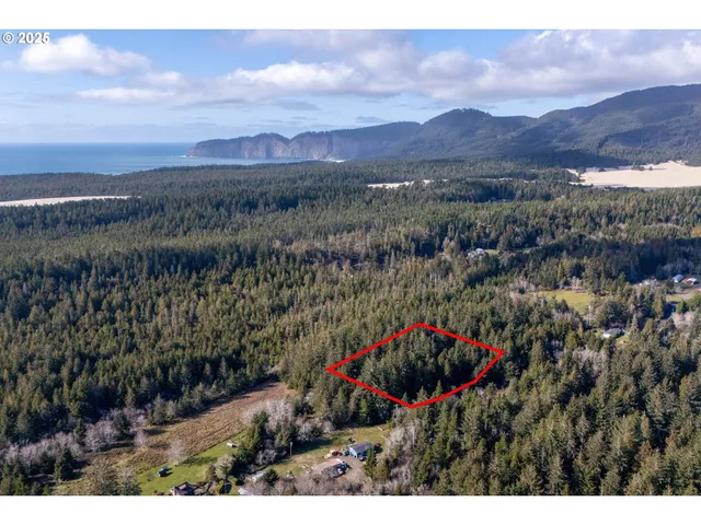 a view of a house with a yard and a forest