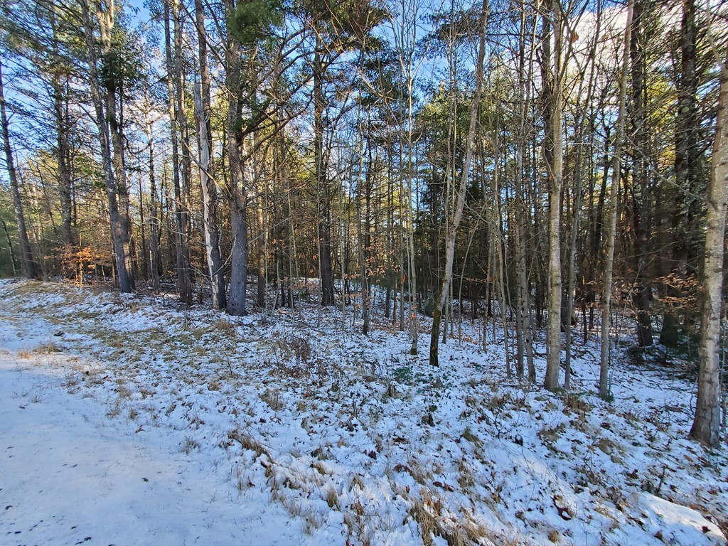 558 Fox Run Road Lewis, NY 12950 - Photo 4 of 9 Gallery Image 4