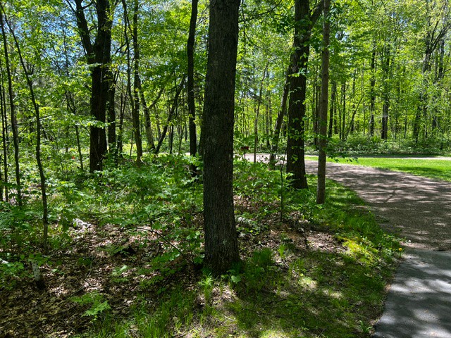 N4798 Loop Road Spooner, WI 54801 - Photo 40 of 51