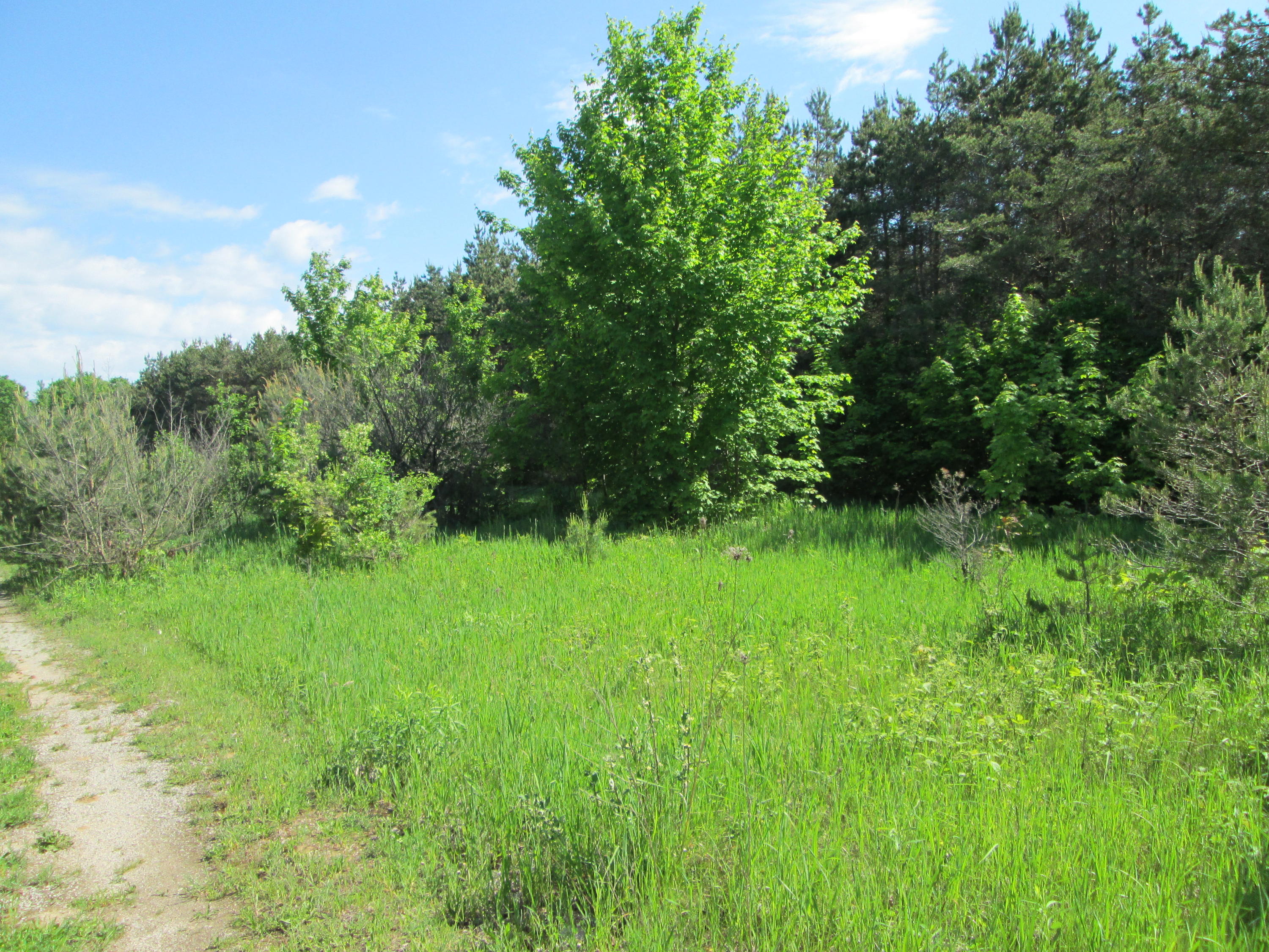Pheasant Run Cheboygan, MI 49721 - Photo 3 of 8 Gallery Image 3