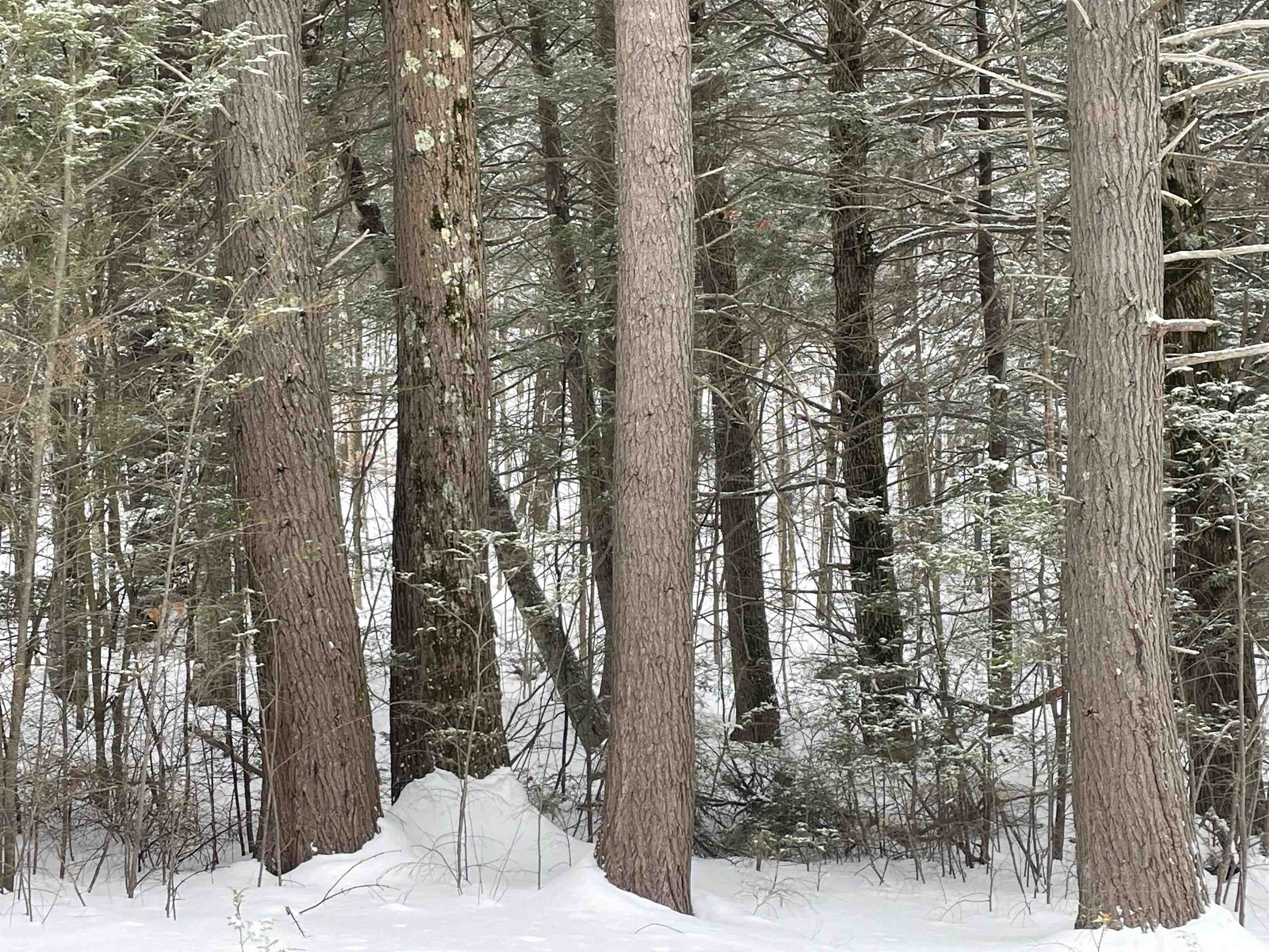 0 Gibson Mountain Road Antrim, NH 03440 - Photo 3 of 8 Gallery Image 3