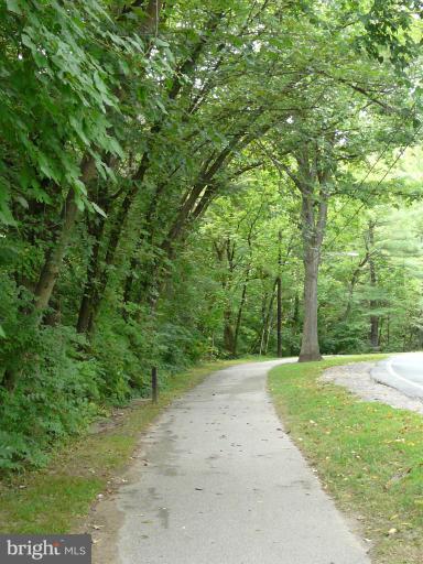 705 Stirling Road Silver Spring, MD 20901 - Photo 7 of 23 a view of a grassy field with trees
