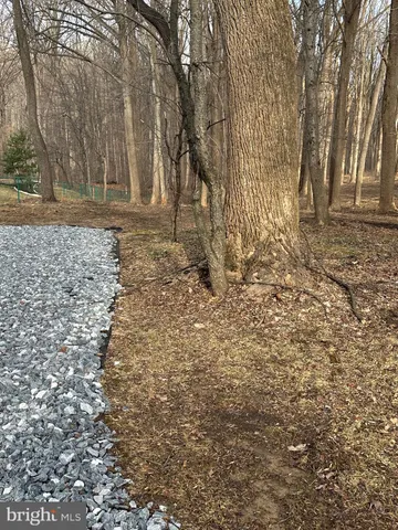 a view of outdoor space with trees