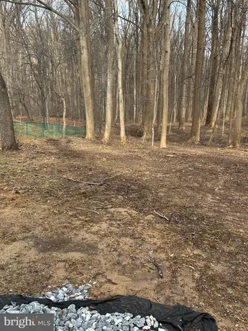 a view of a park with large trees