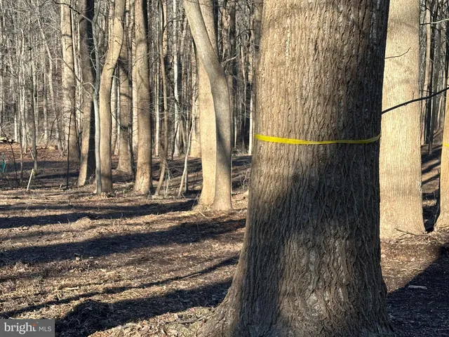 a view of a door front of a house