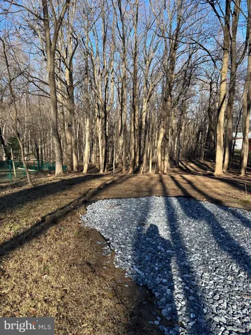 a view of a yard with trees