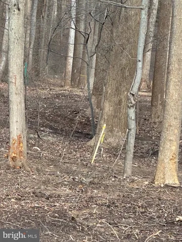 a view of a pathway with a yard
