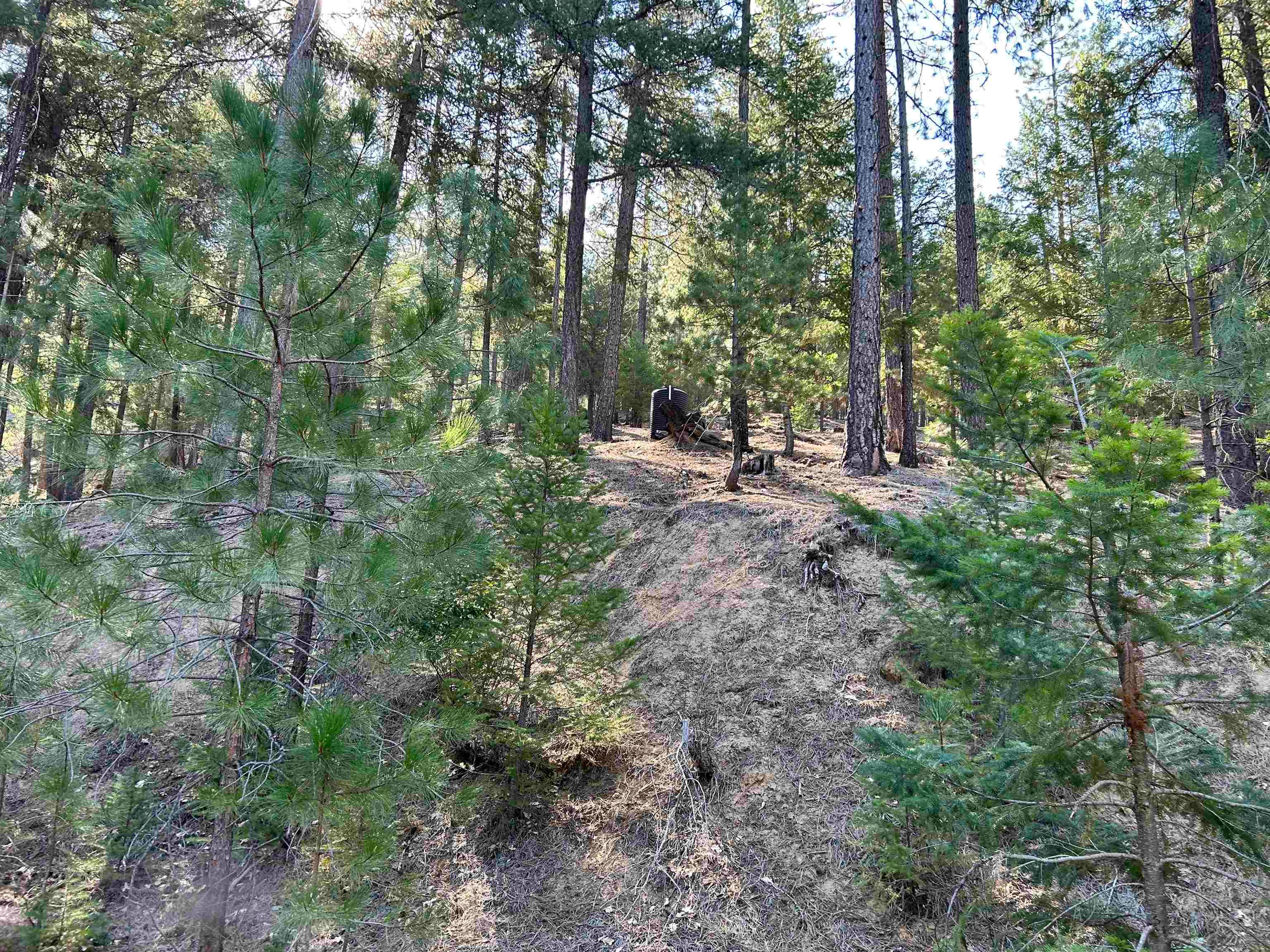 15.9-acres Tyler Gulch Road Fort Jones, CA 96032 - Photo 17 of 18 Gallery Image 17