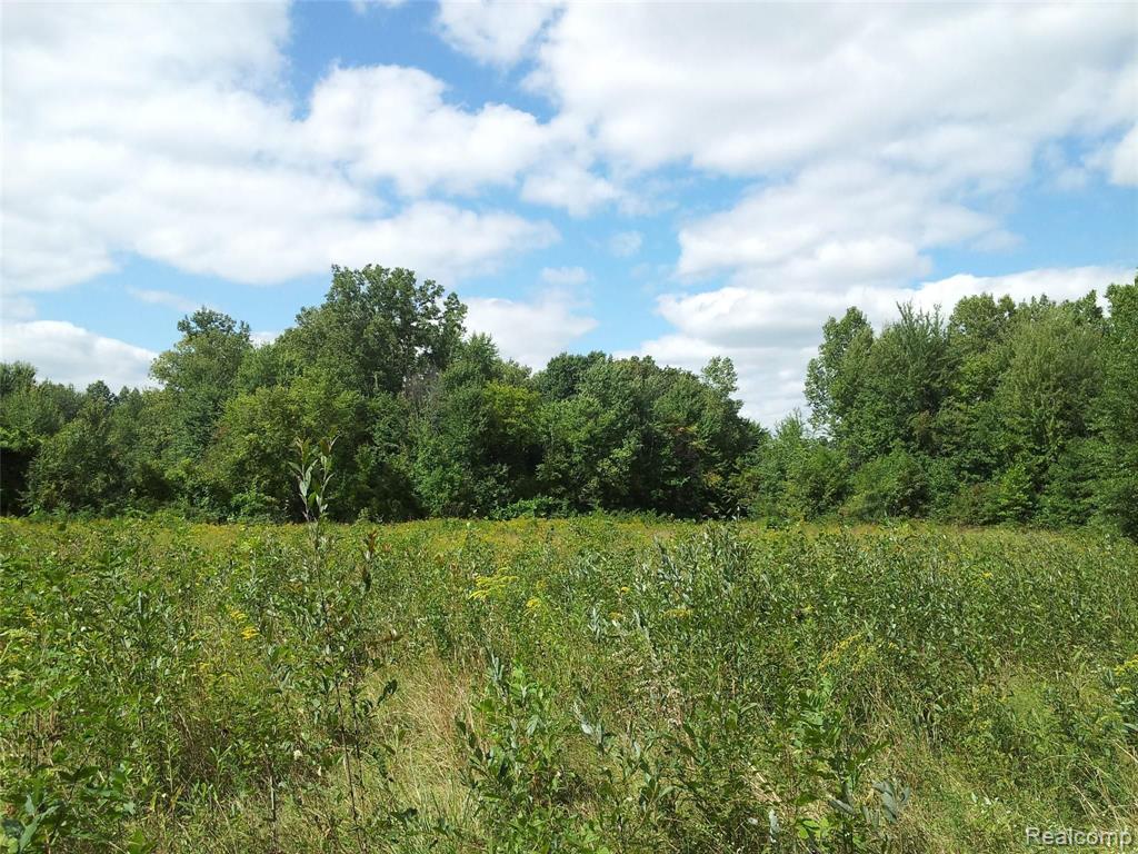 Vl Whittaker Road Ypsilanti, MI 48197 - Photo 9 of 10