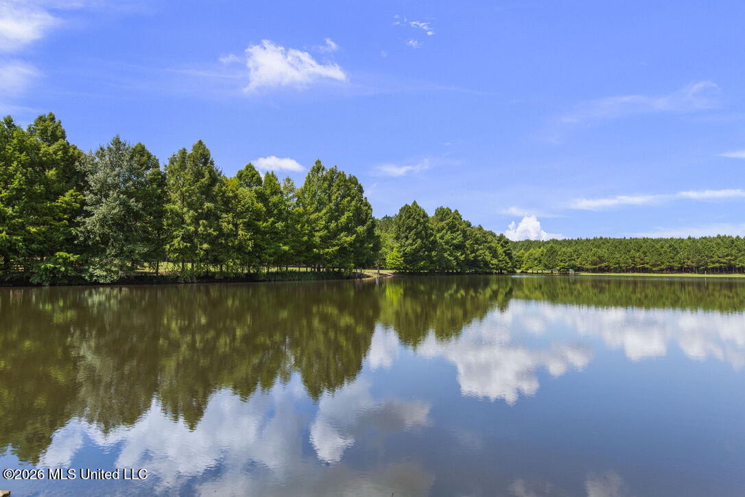 1454 Livingston Vernon Road Flora, MS 39071 - Photo 52 of 67 4044DBEF-F43B-45C5-9186-1E80EFAA307E_1_1
