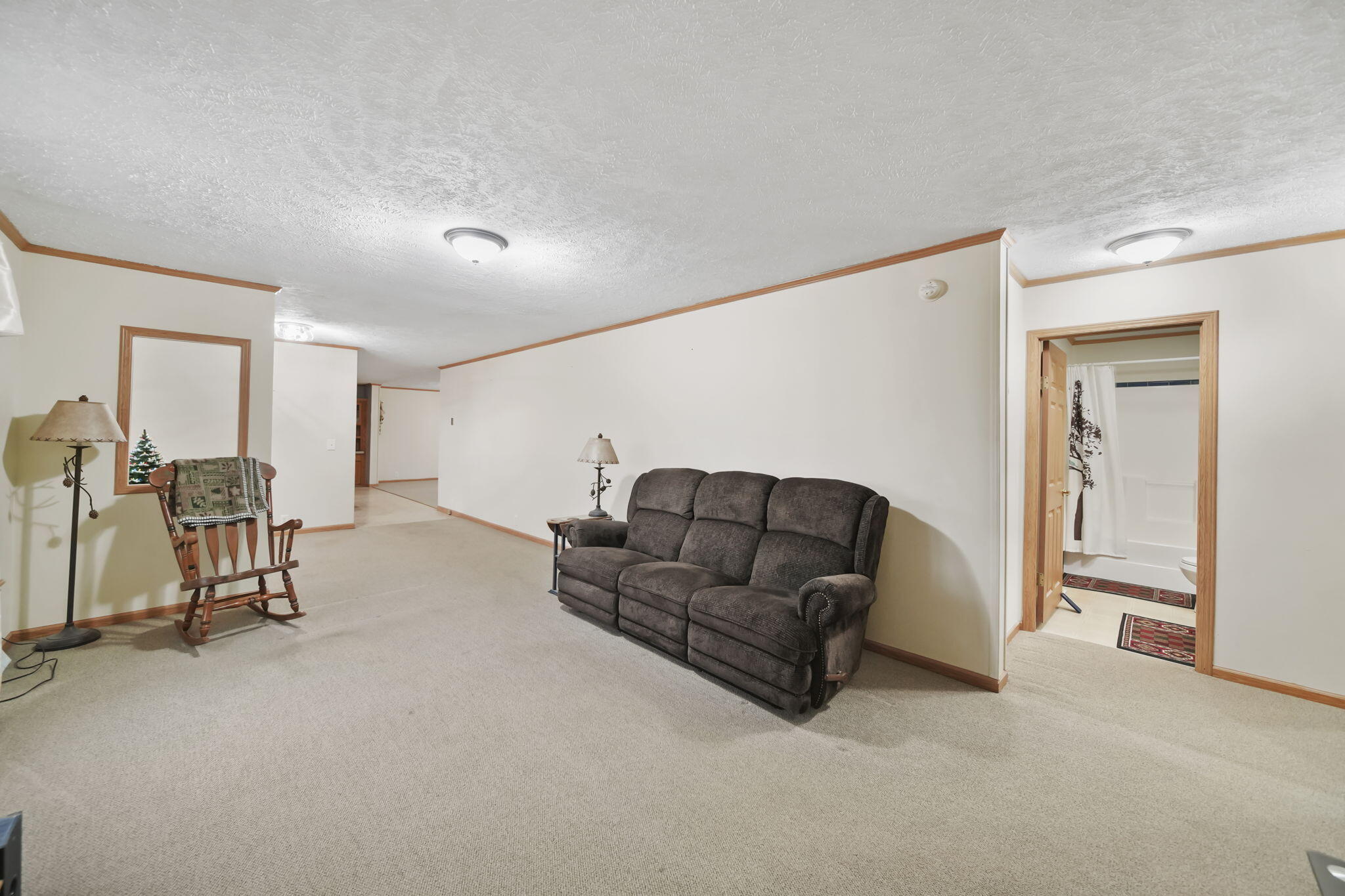 13685 Wanty Road Milan, MI 48160 - Photo 15 of 34 7-web-or-mls-DSC07312