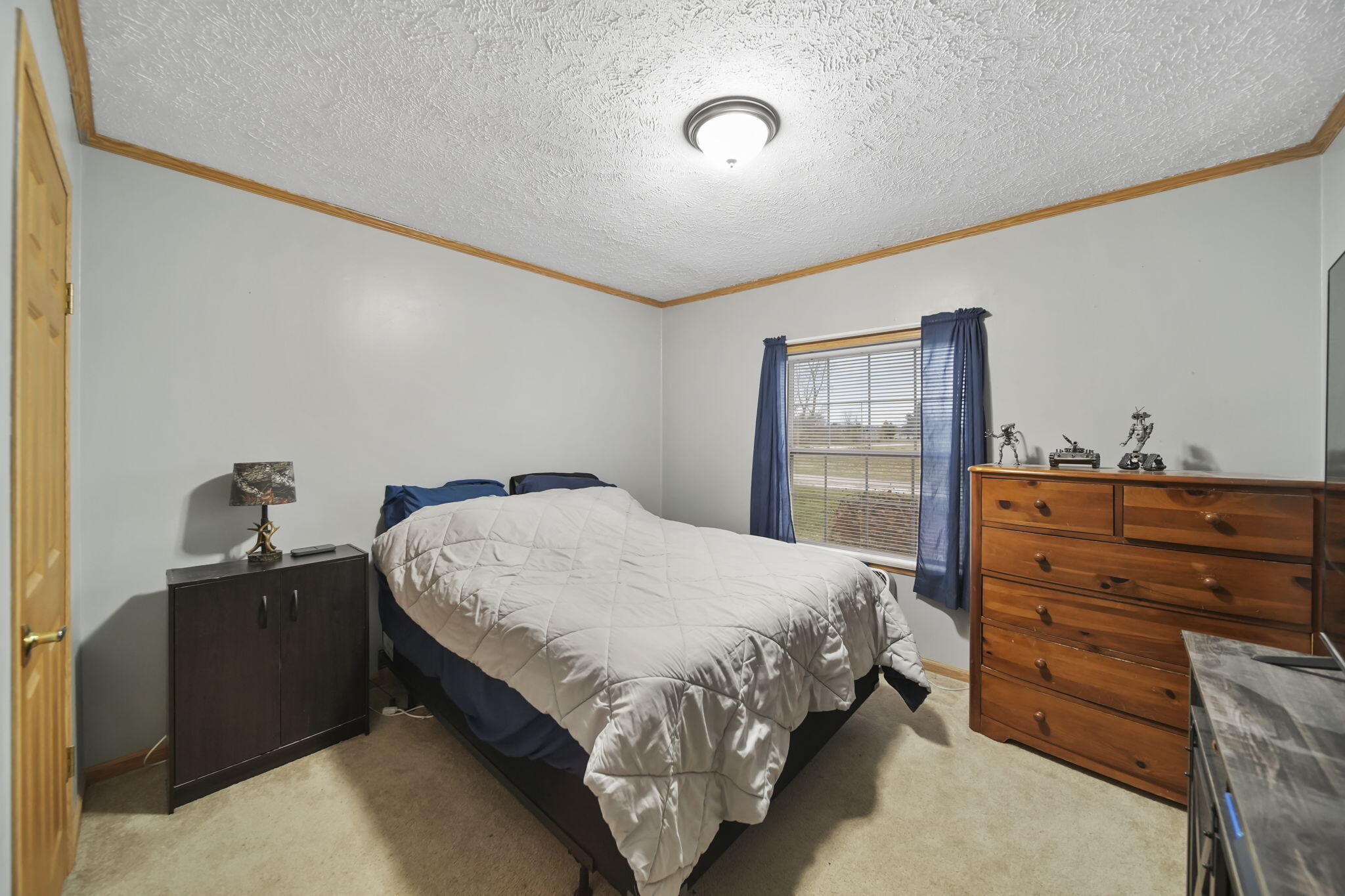 13685 Wanty Road Milan, MI 48160 - Photo 23 of 34 11-web-or-mls-DSC07332