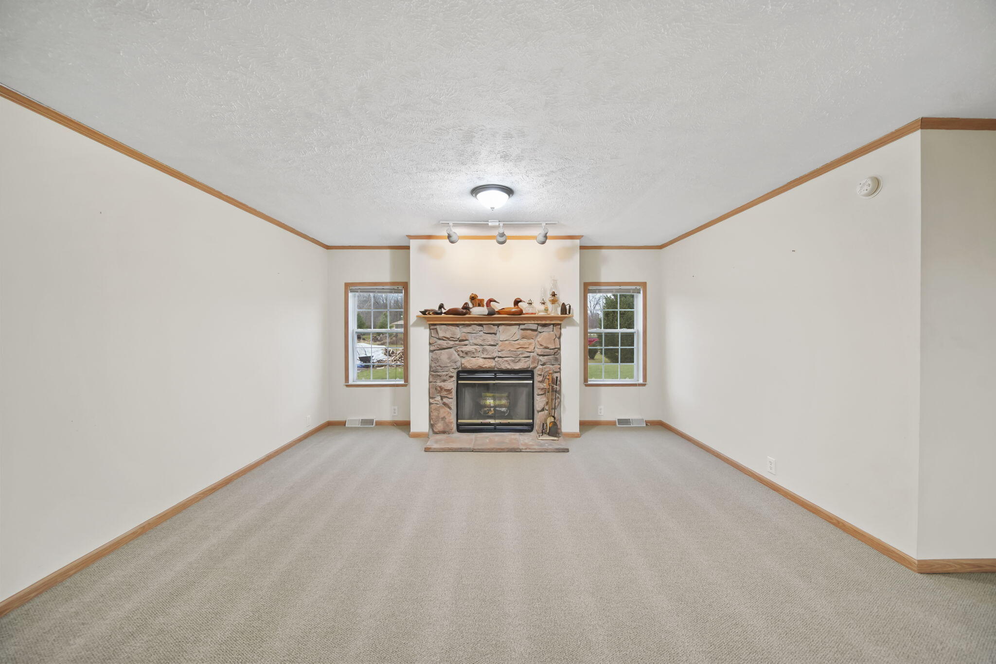 13685 Wanty Road Milan, MI 48160 - Photo 9 of 34 19-web-or-mls-DSC07372