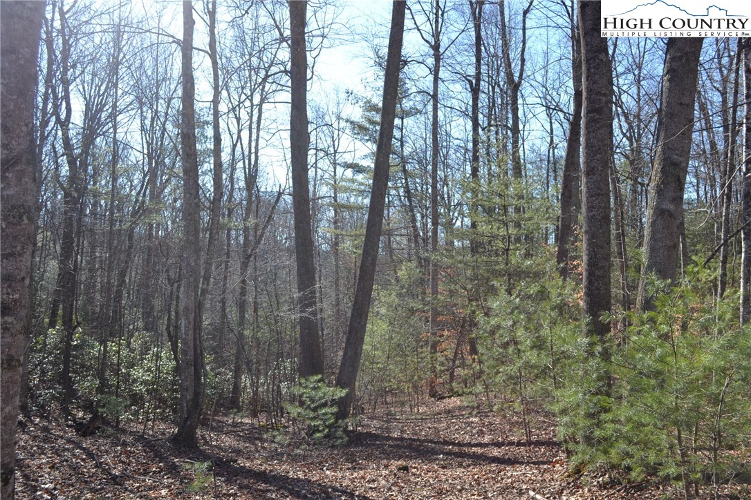 7253 Flat Ridge Road Troutdale, VA 24378 - Photo 5 of 23 Gallery Image 5