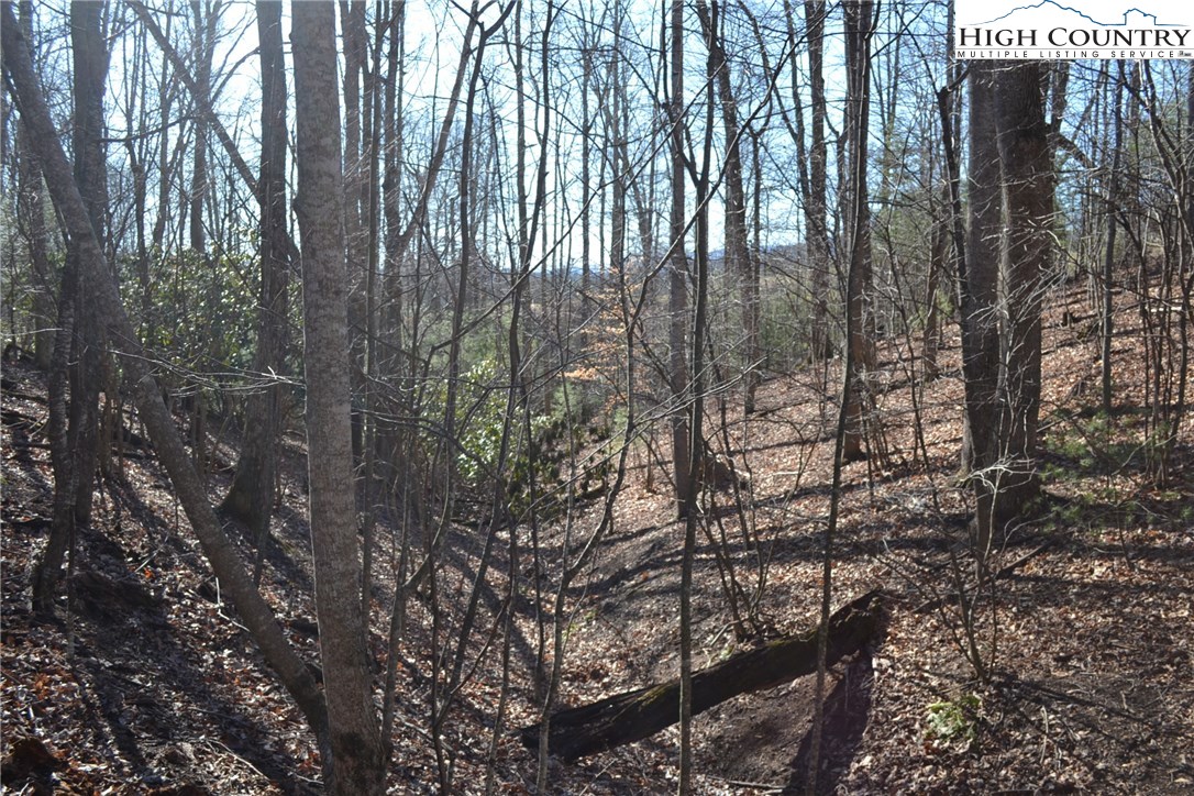 7253 Flat Ridge Road Troutdale, VA 24378 - Photo 7 of 23 Gallery Image 7