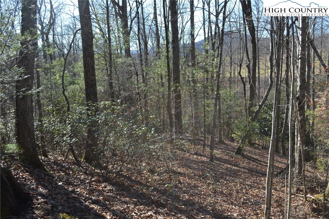 7253 Flat Ridge Road Troutdale, VA 24378 - Photo 8 of 23 Gallery Image 8