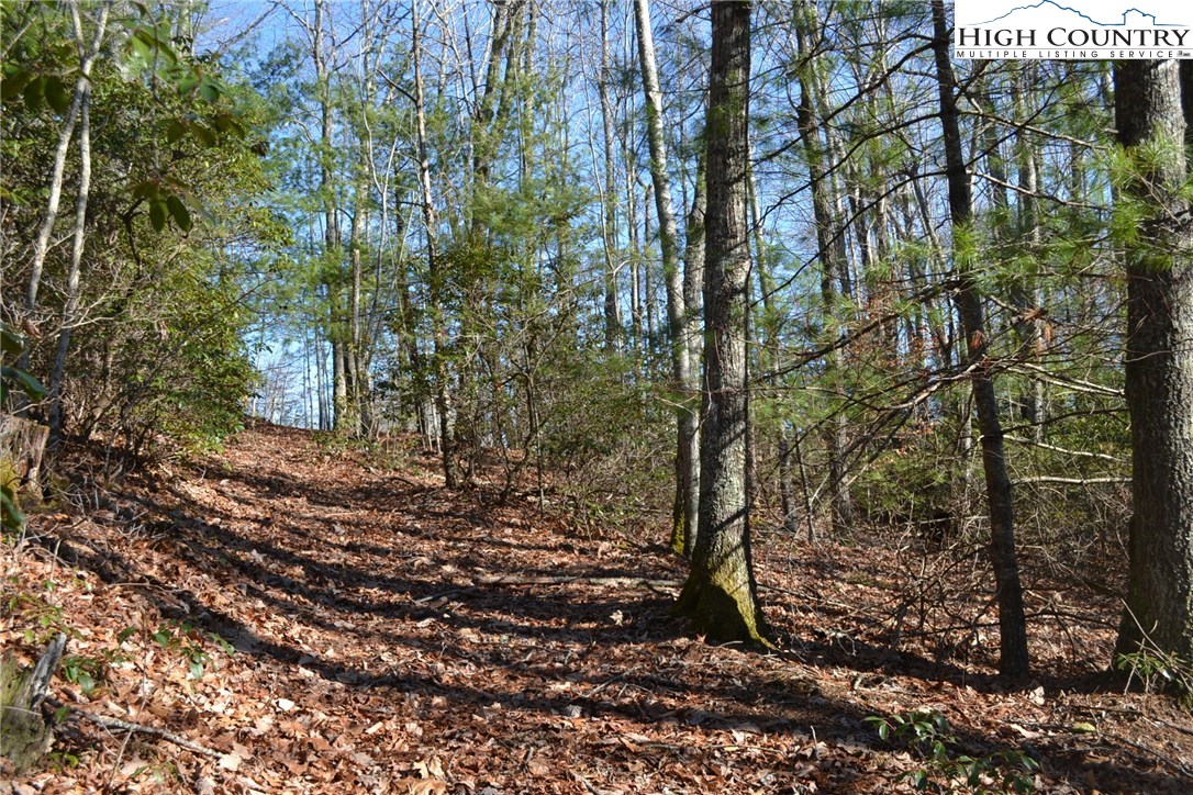 7253 Flat Ridge Road Troutdale, VA 24378 - Photo 9 of 23 Gallery Image 9