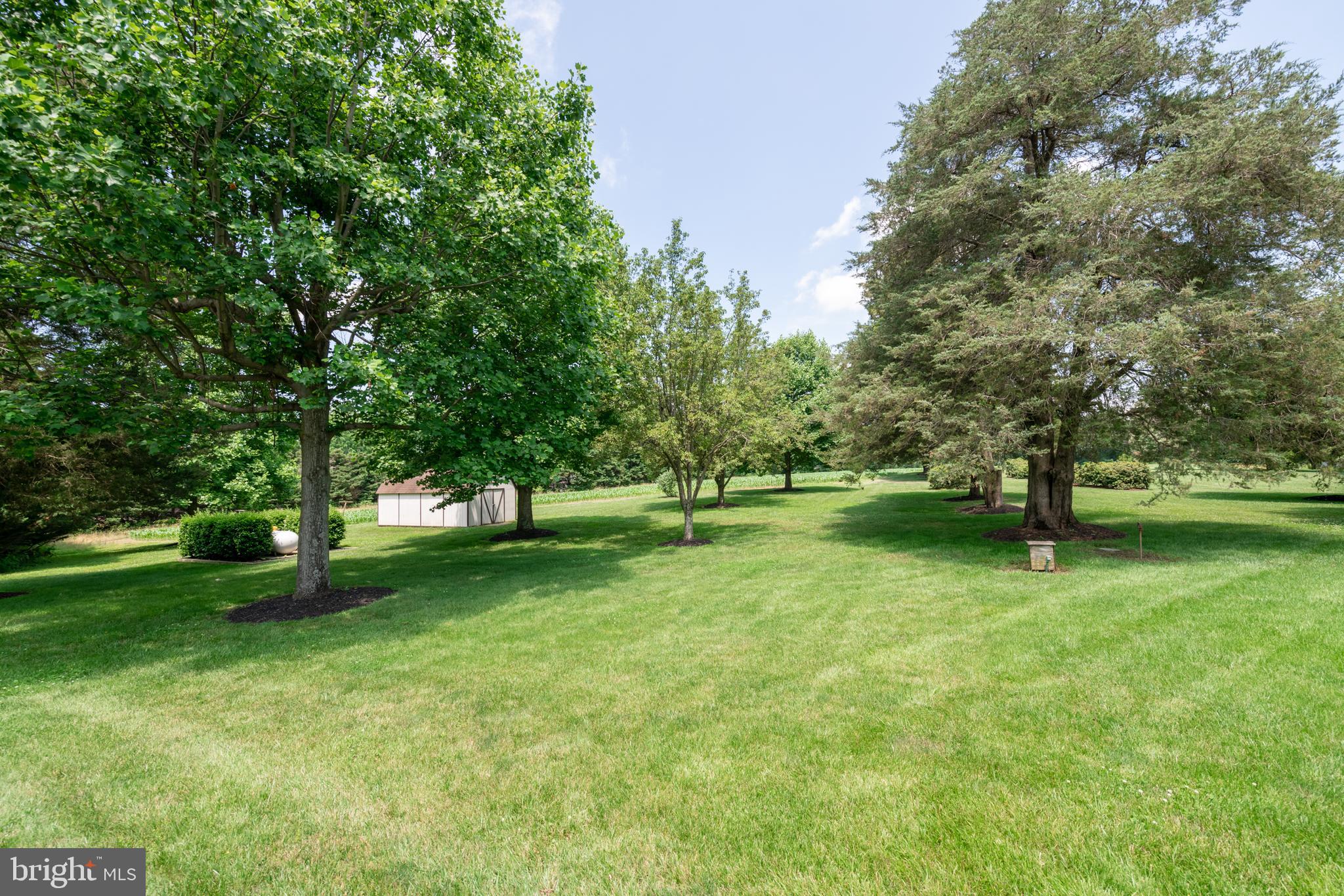 233 Silver Lake Road Bridgeton, NJ 08302 - Photo 74 of 89