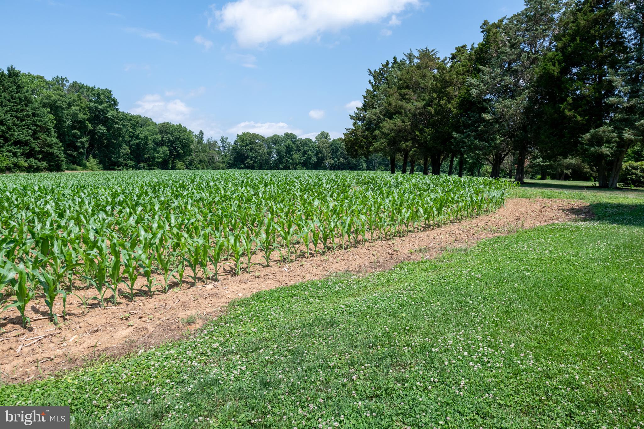 233 Silver Lake Road Bridgeton, NJ 08302 - Photo 77 of 89