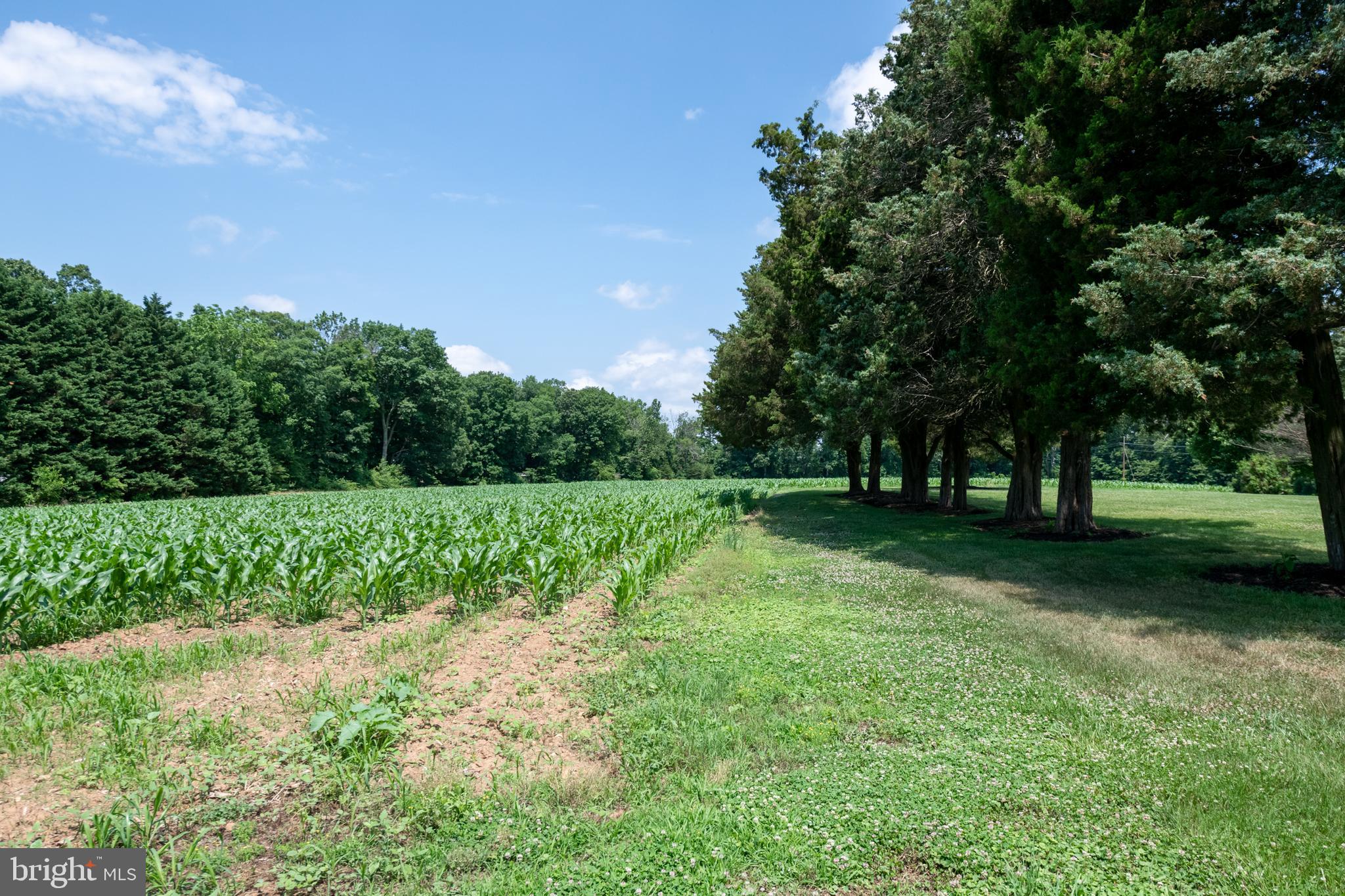 233 Silver Lake Road Bridgeton, NJ 08302 - Photo 78 of 89