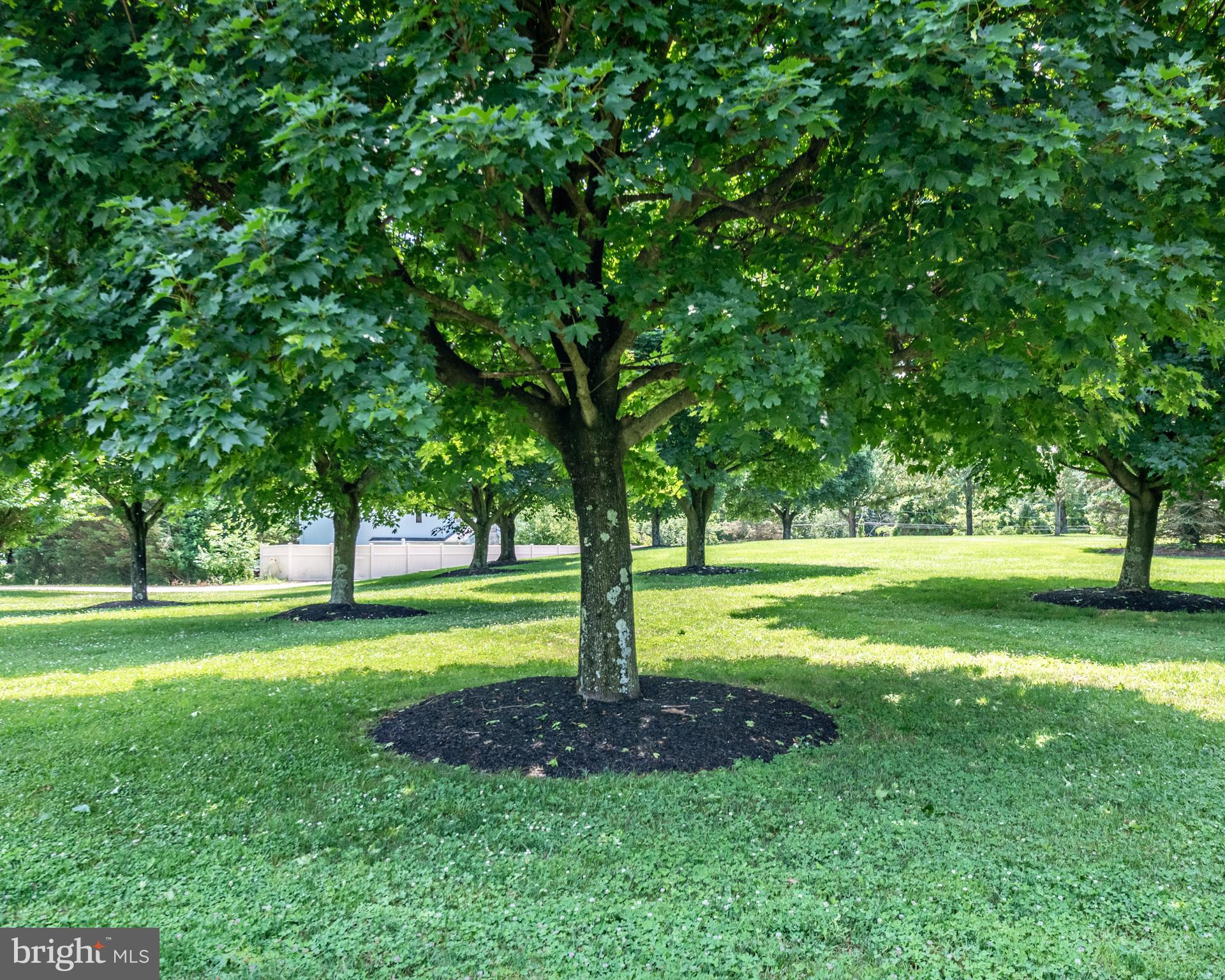 233 Silver Lake Road Bridgeton, NJ 08302 - Photo 79 of 89