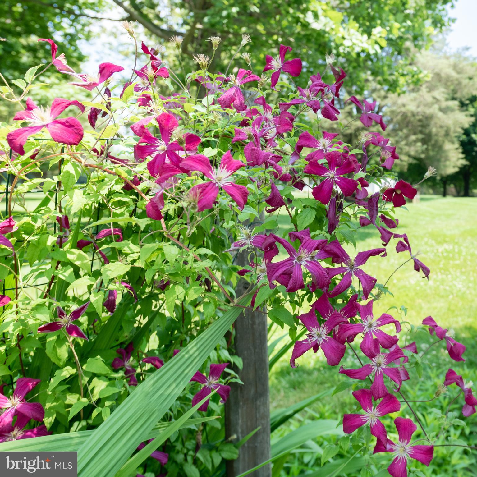 233 Silver Lake Road Bridgeton, NJ 08302 - Photo 80 of 89