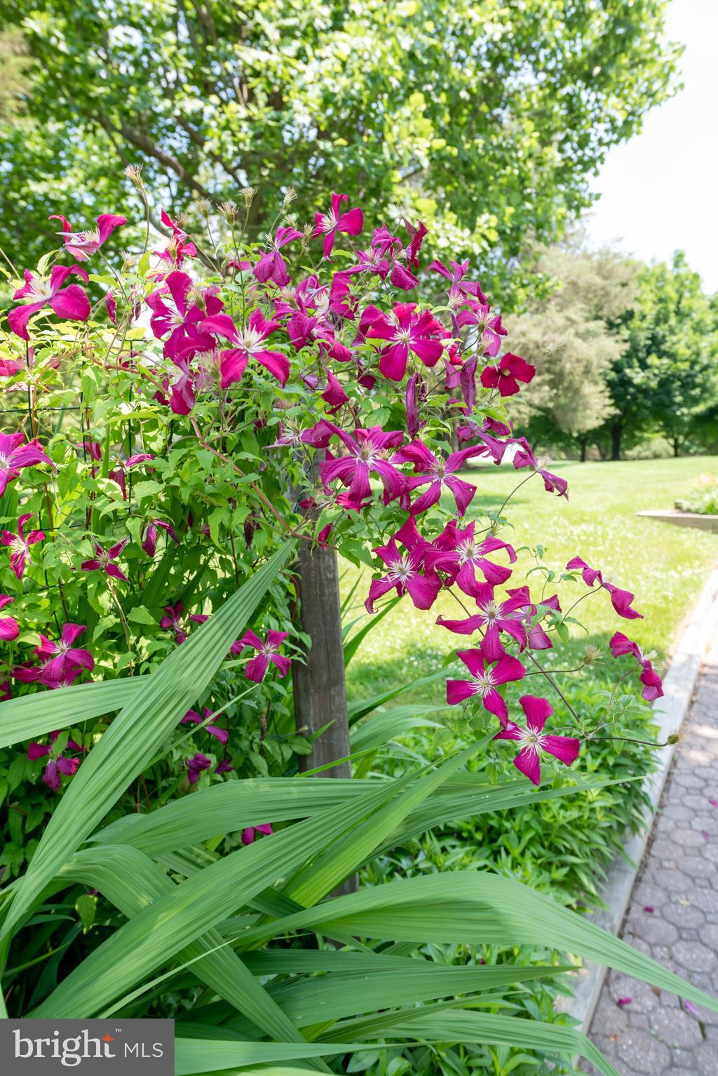 233 Silver Lake Road Bridgeton, NJ 08302 - Photo 81 of 89
