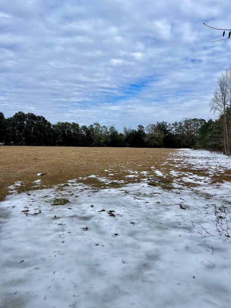 0 LUKE KING Road Enigma, GA 31749 - Photo 5 of 15 Gallery Image 5
