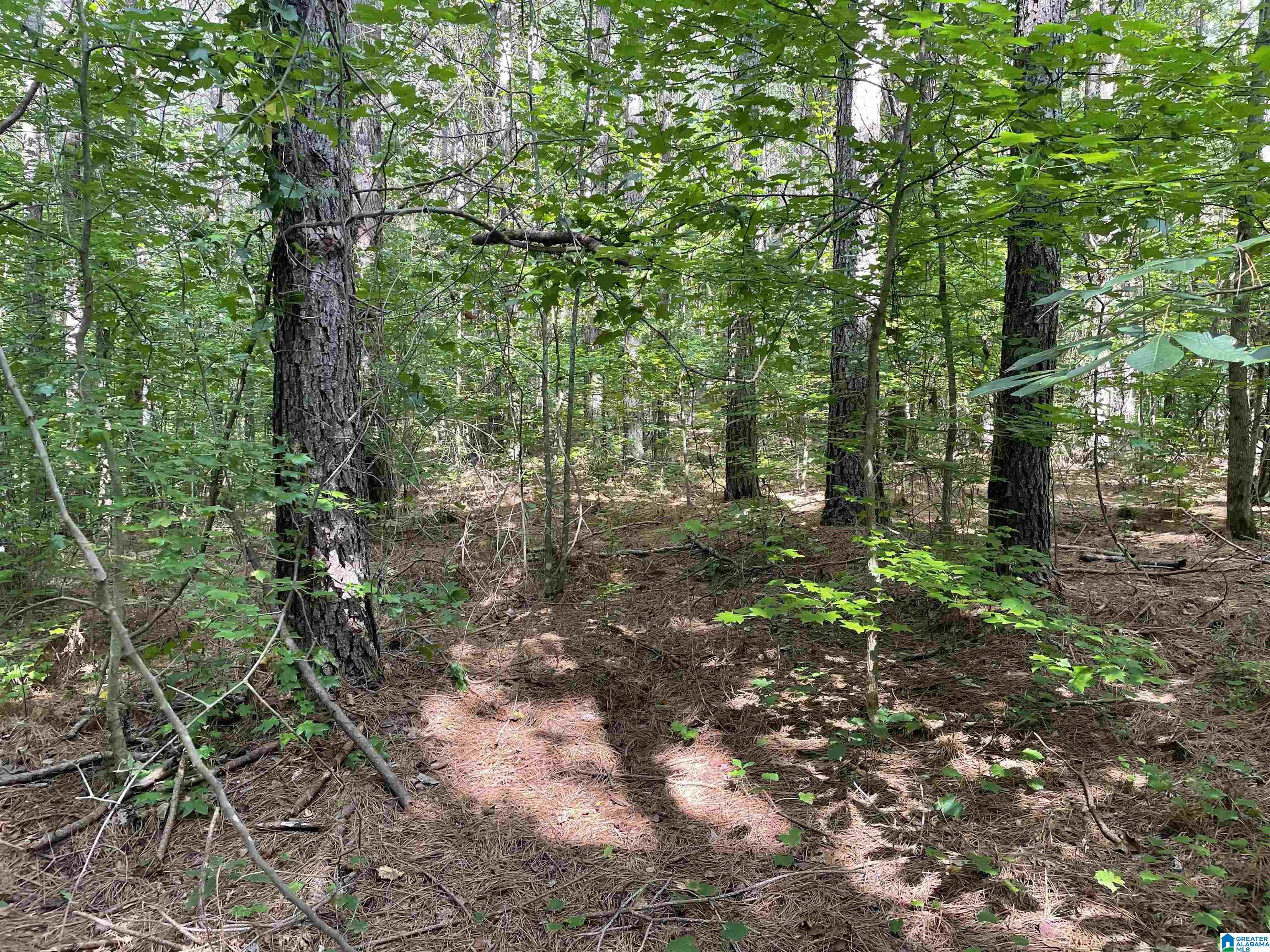 0 County Road 689, Unit 1 Ranburne, AL 36273 - Photo 58 of 69