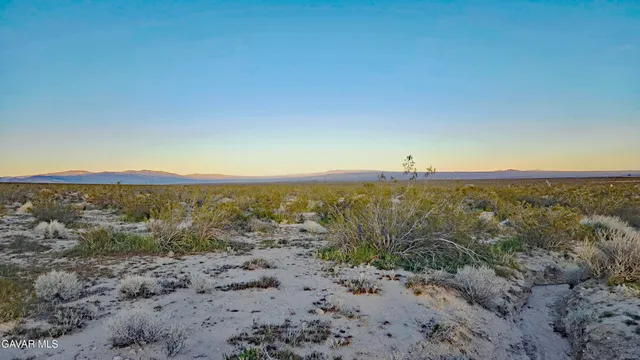 a view of a beach with an ocean