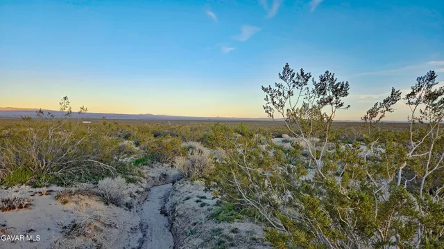 a view of a big yard with an trees