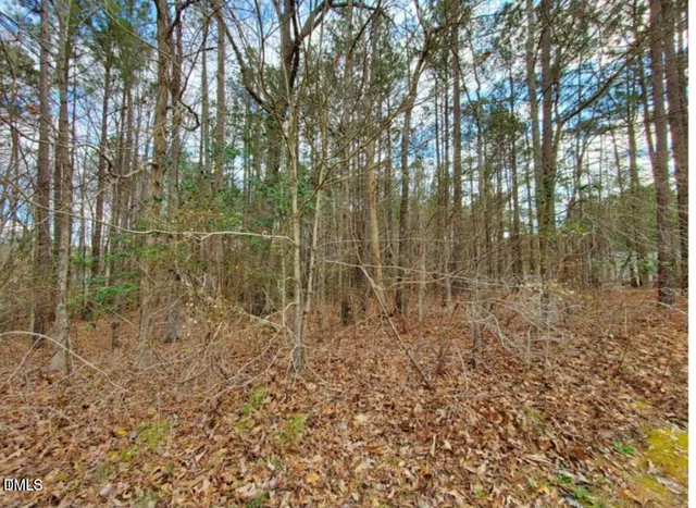 a view of a yard with large trees