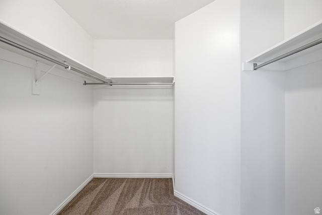 1630 East 2450th Street South, Unit 263 St. George, UT 84790 - Photo 16 of 24 Walk-in closet with ample shelving, multiple hanging rods, and neutral-toned carpeting