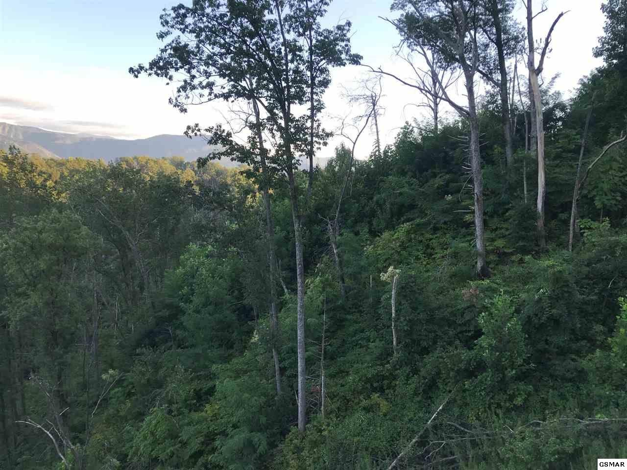 834 Village Loop Road Gatlinburg, TN 37738 - Photo 3 of 3 Gallery Image 3