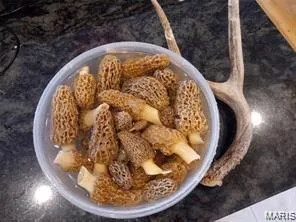 $679,000 | 1276 Hwy Y, Bland, MO 65014