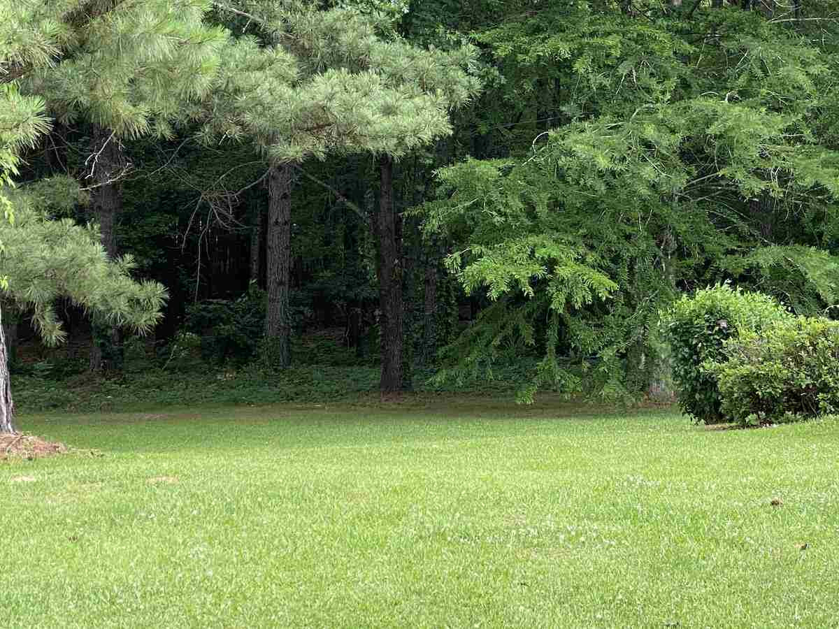 124 Falcon Ridge Drive Raymond, MS 39154 - Photo 4 of 21 Photo 4