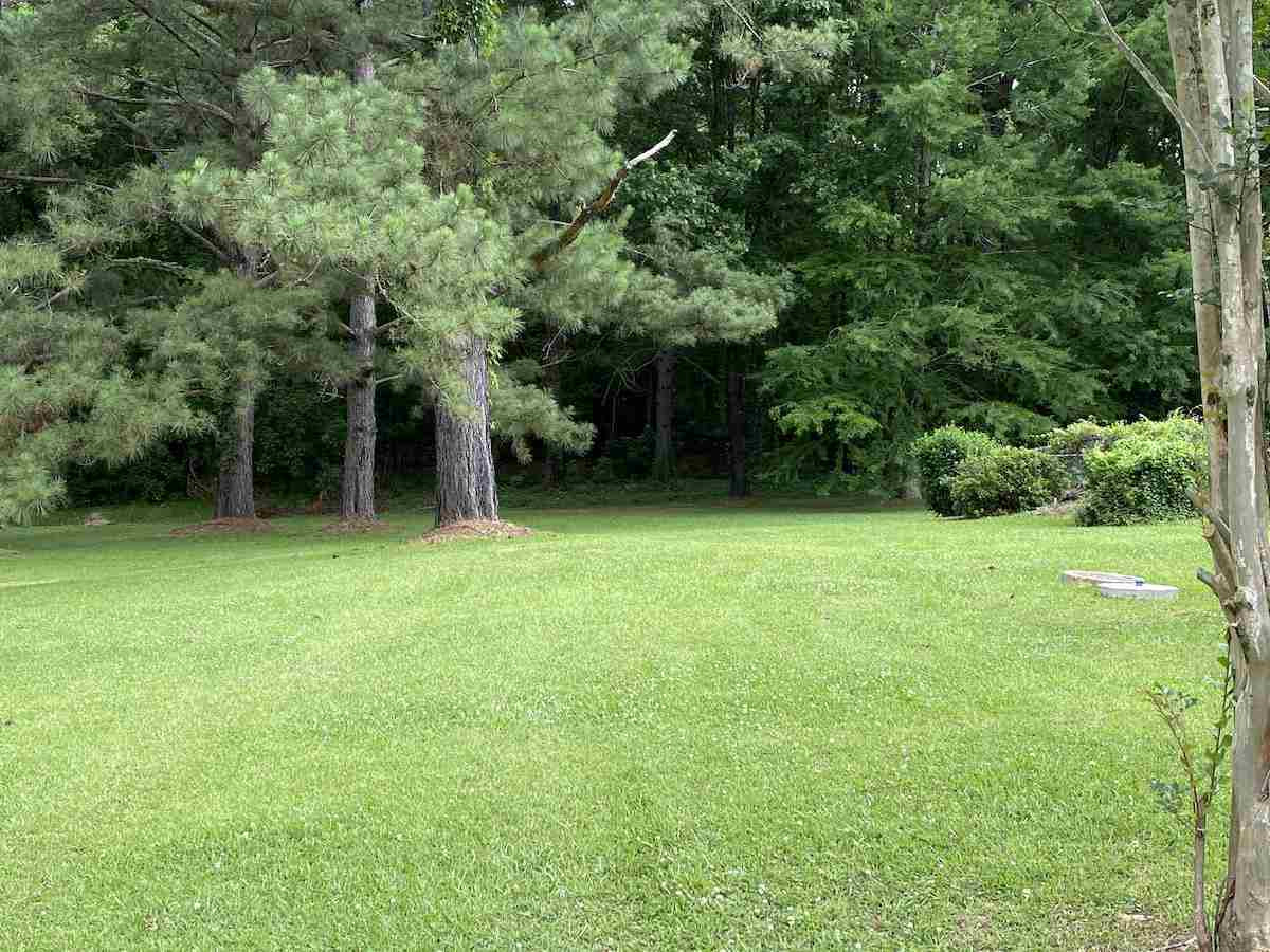 124 Falcon Ridge Drive Raymond, MS 39154 - Photo 5 of 21 Photo 5