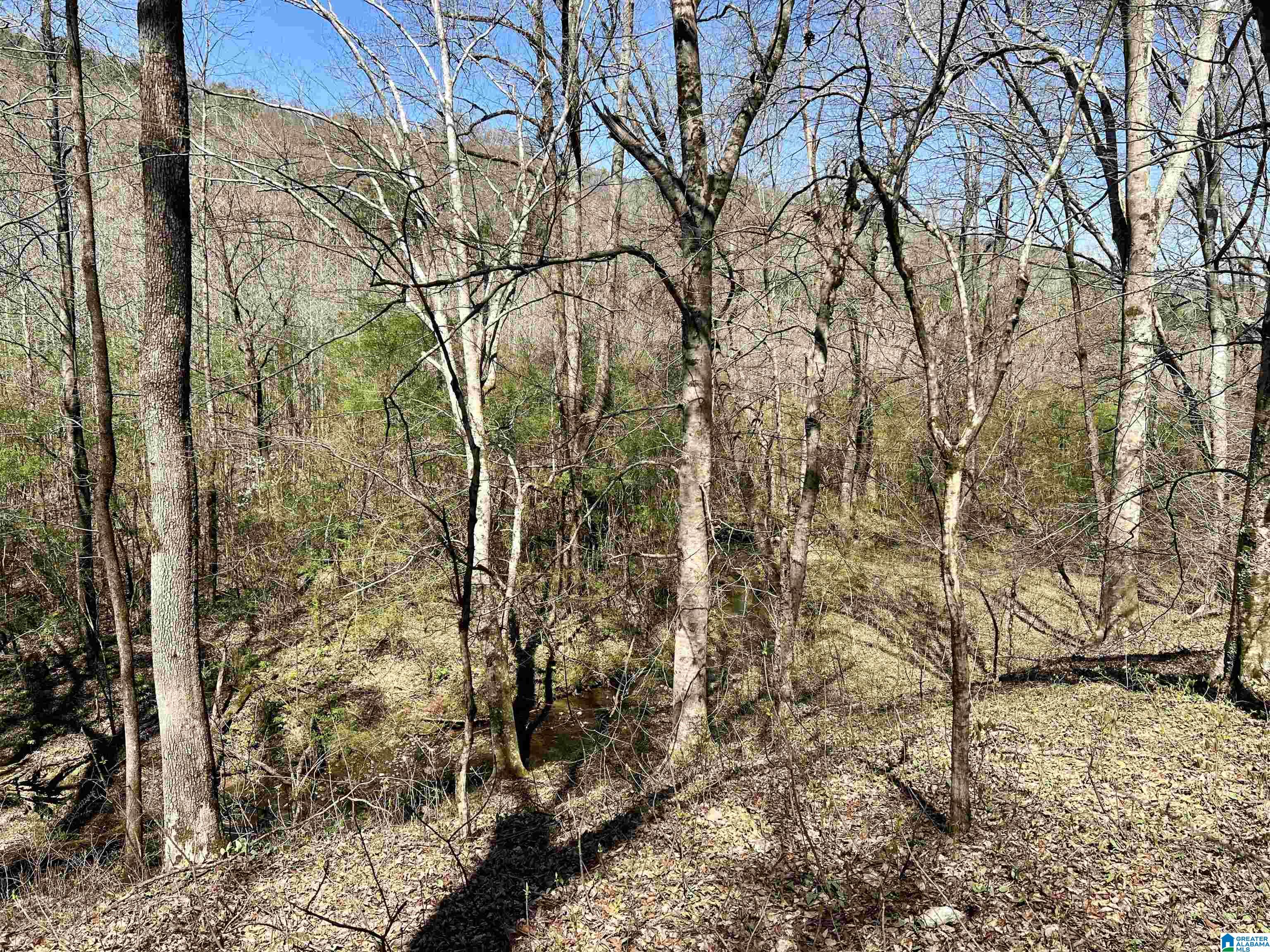 6478 Red Hollow Road, Unit 240 Birmingham, AL 35215 - Photo 21 of 38